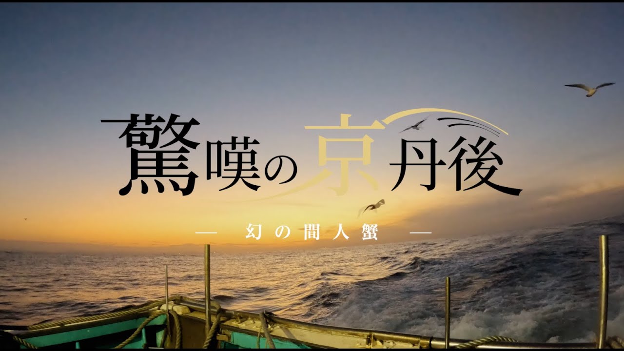 【京丹後市】驚嘆の京丹後　ー  幻の間人蟹  ー ［公式］