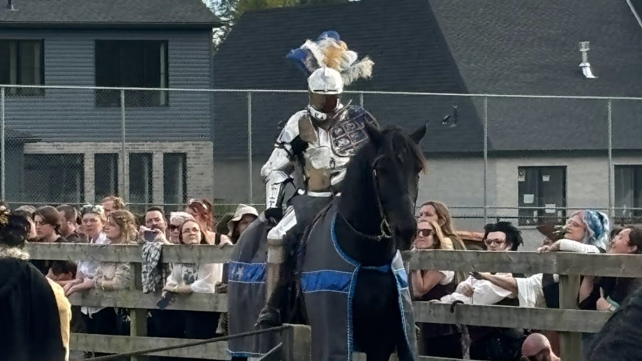 Knights of valour at the oxford renaissance festival