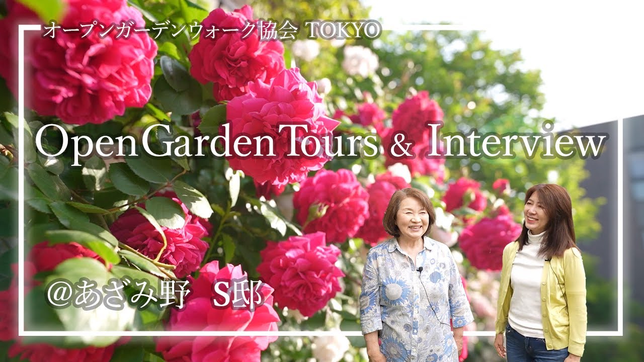 【オープンガーデン⑳】バラの達人の美しい庭は下草もバッチリ！日陰と日当たりの植物は二刀流。雑誌の園芸ガイド、ガーデンダイアリー、ガーデンストーリーに掲載。S邸。