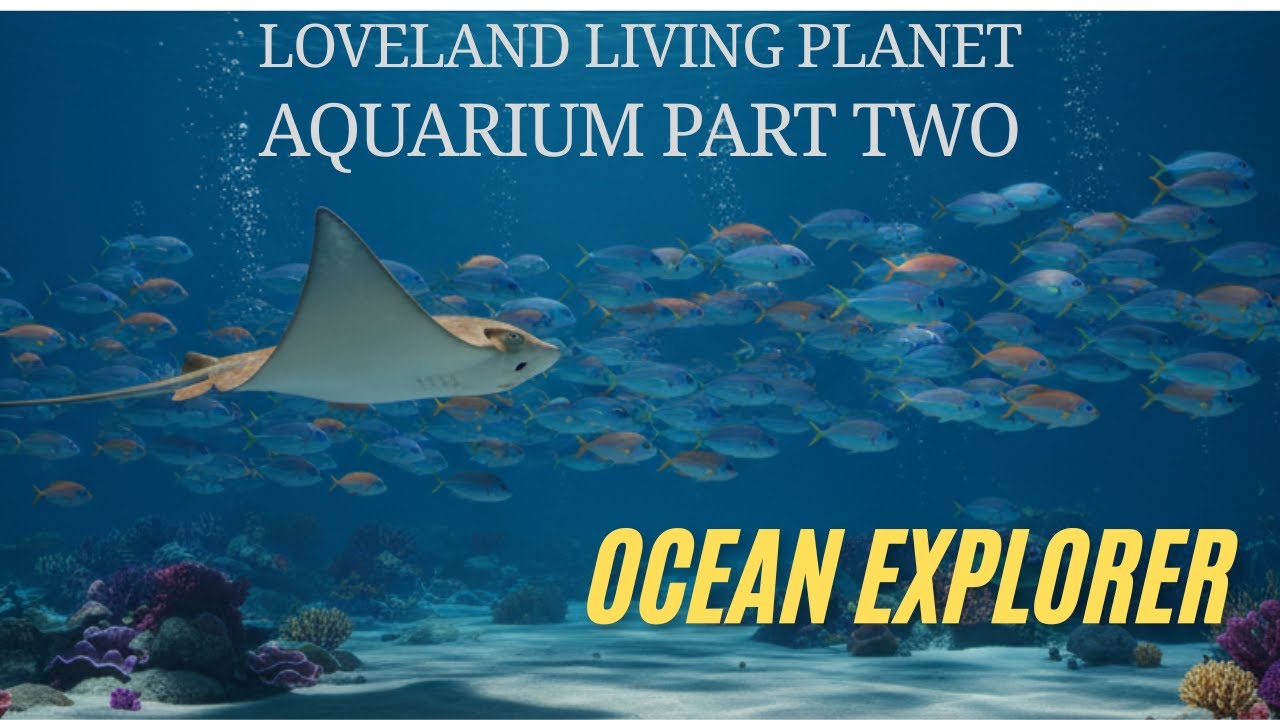Loveland Living Planet Aquarium Full Tour 2025 - Part Two
