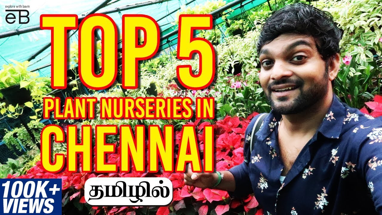 Top 5 Plant Nurseries in Chennai | Just Rs.30 Onwards | Explore With Bavin