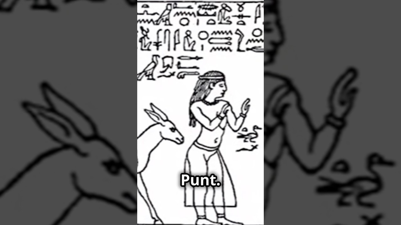 The #diversity of the people of Punt, the mysterious land that Egyptians called &ldquo;The Land of God&rdquo;.