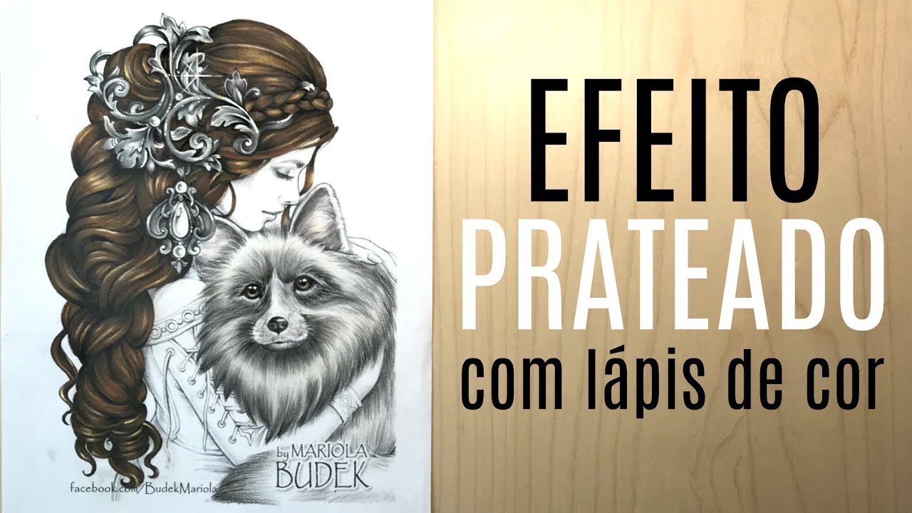 Efeito prateado com lápis de cor - Silver Effect with Polychromos colored pencil