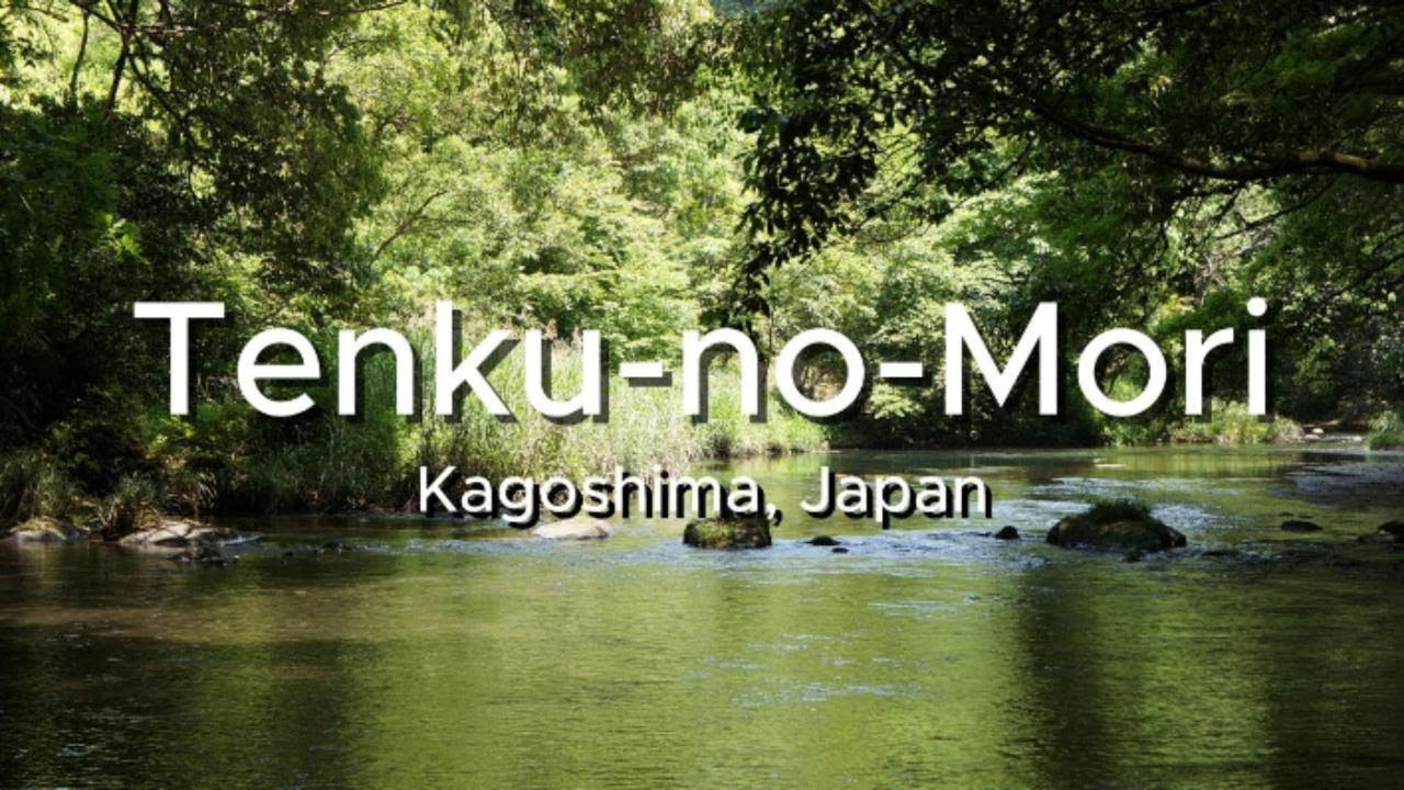 Tenku-no-Mori～Touch the Sky, Embrace the Forest.