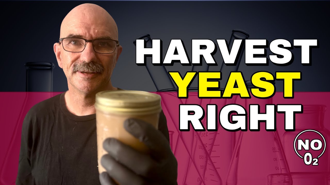 Broke Brewer? Stop Wasting Yeast – Do This Instead!