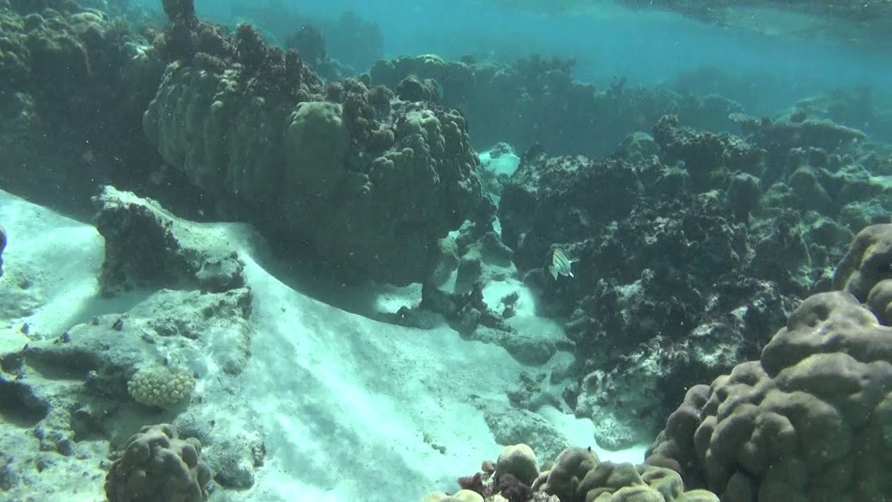 TdM - Polynésie - J3 - Huahine - Lagon 2