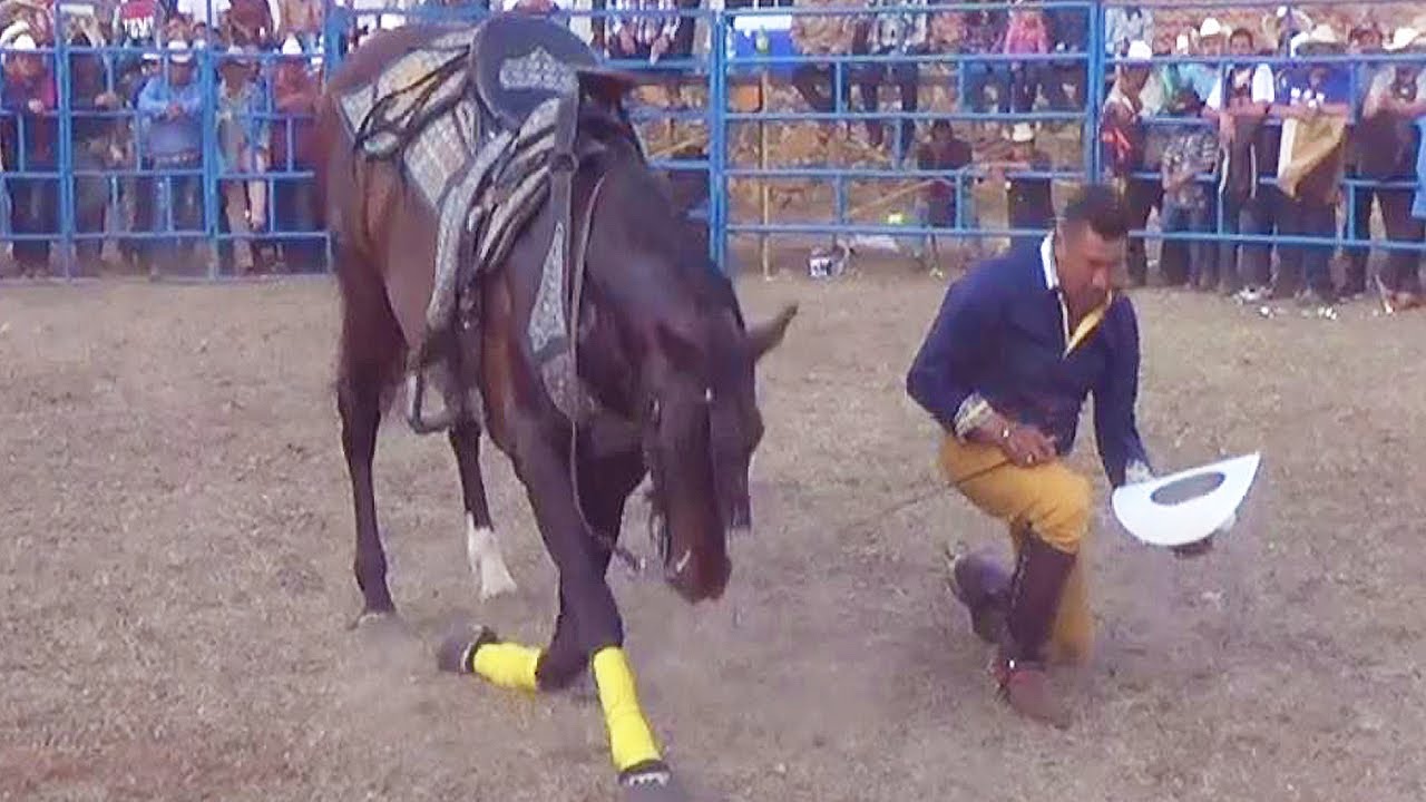 ¡¡¡CABALLOS BAILADORES EN OPONGUIO MICHOACAN 2018!!! CARLOS SANTANA