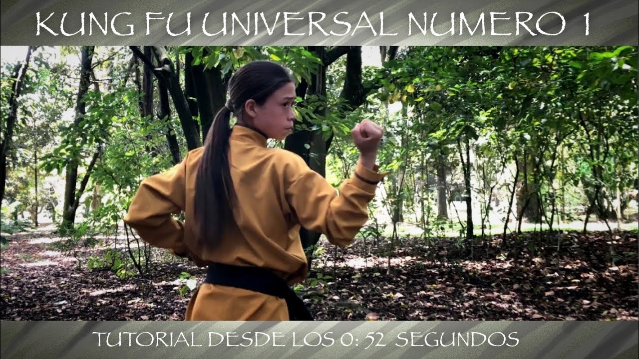 Kung Fu Universal Numero 1 - Tutorial desde los 0:52 Segundos