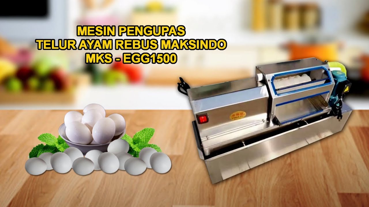 “Mesin Pengupas Telur Ayam Rebus Maksindo – Kupas 1500 Telur per Jam Lebih Cepat & Higienis!”