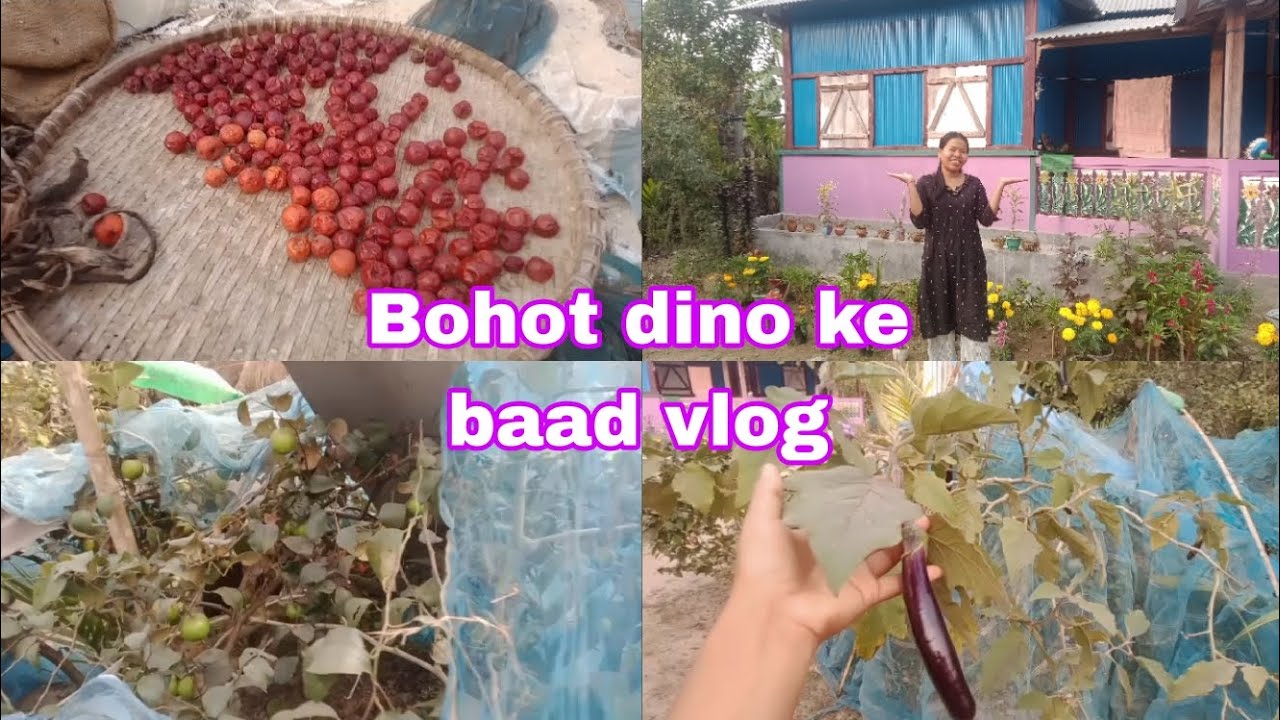 Mama ke gharpe seasonal flowers,sabji aur fruits❤️#vlog@Khomdbvlgs