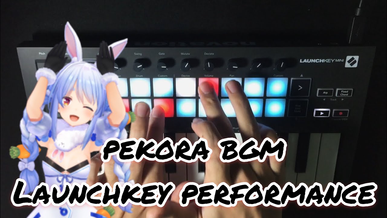 Pekora BGM peko - Launchkey Performance