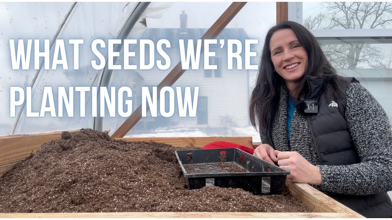 What SEEDS We're Starting Now | PepperHarrowFarm.com