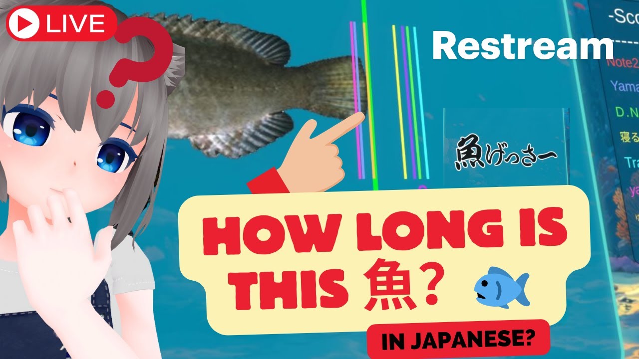 🎣 魚ゲッサー！Let’s Guess the Length of the Fish! in Japanese VR Class  UK/EU