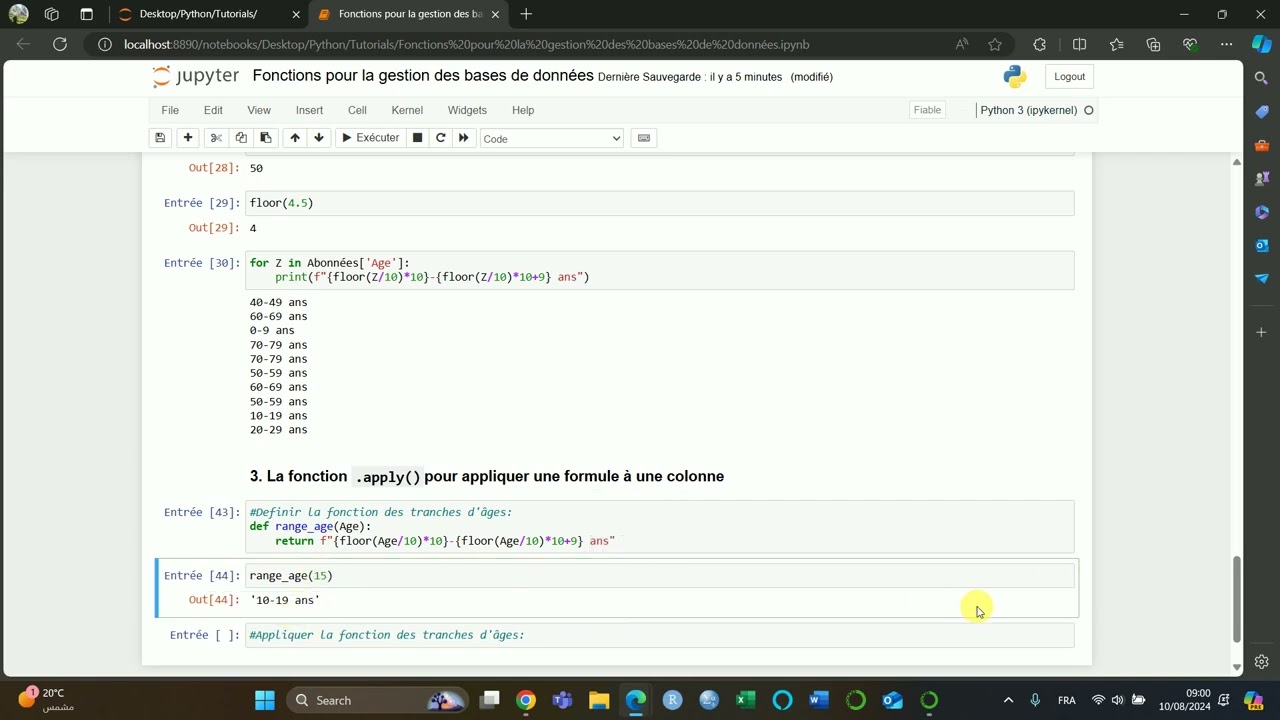 Commande  .apply()  sur Python pour appliquer une formule à une colonne