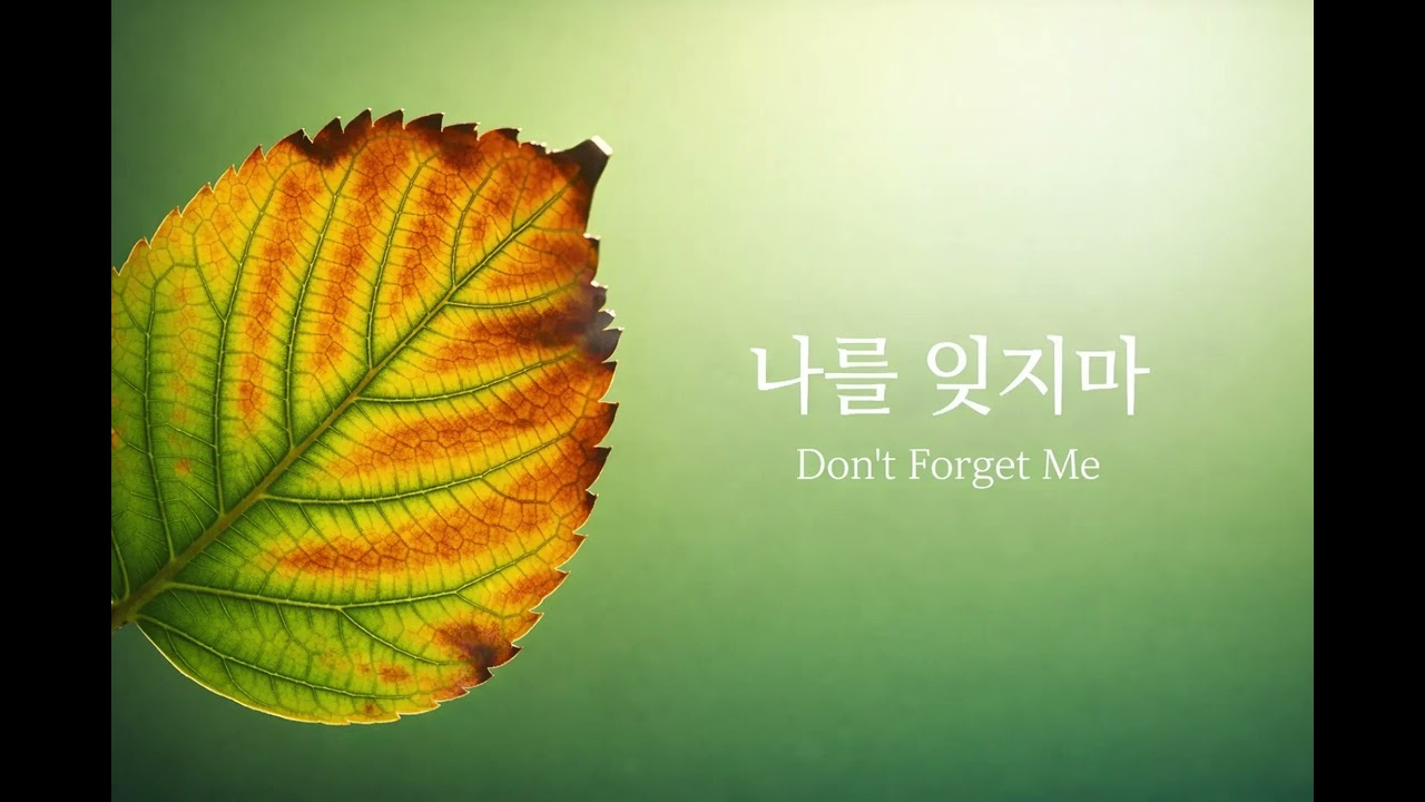 나를 잊지마 (Don’t Forget Me)