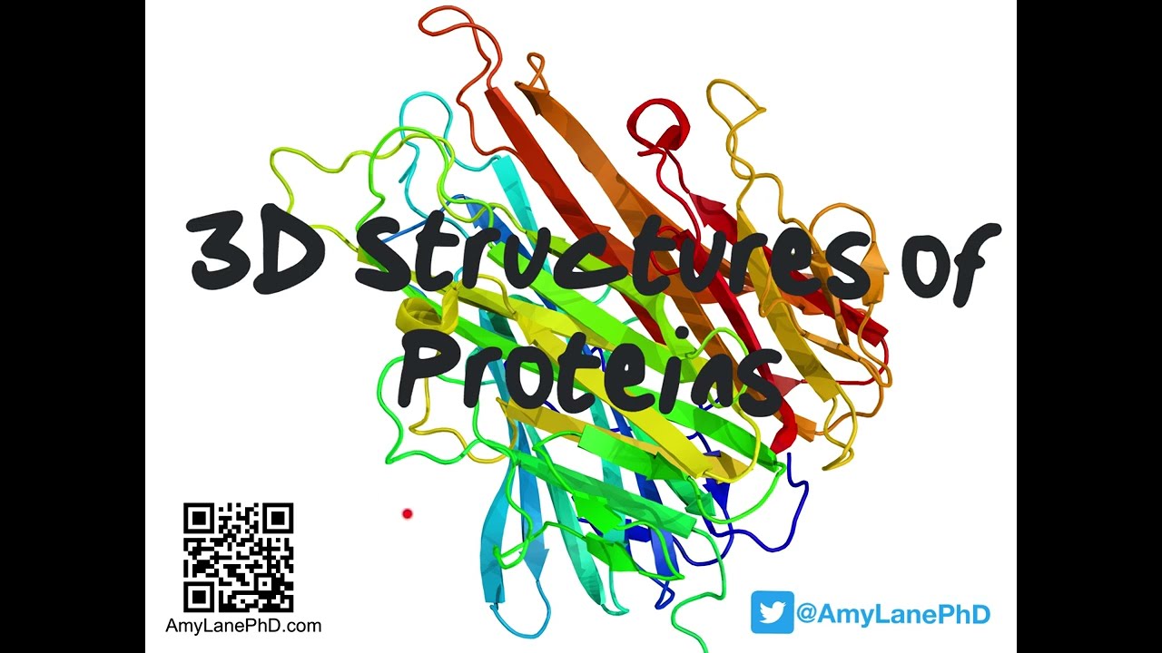 394 BCH3023 Three Dimensional Protein Structures