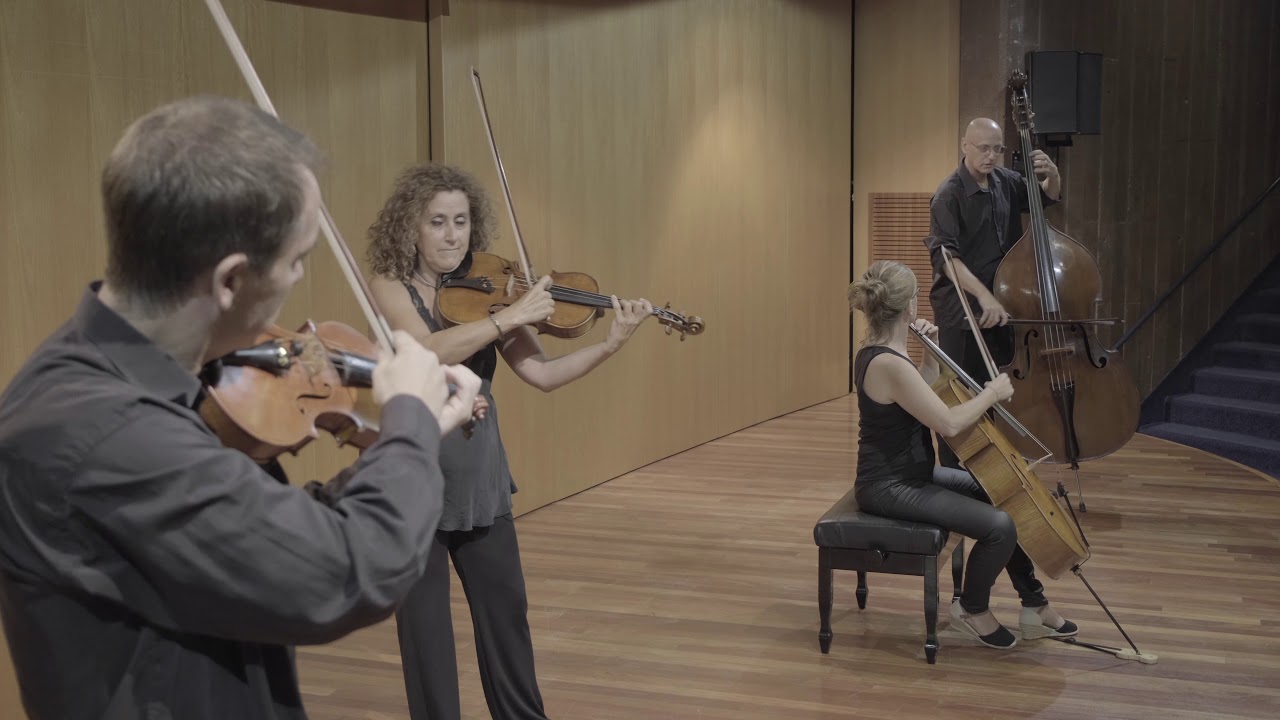 Ca&ccedil;adors d'instruments: els instruments de corda-fregada