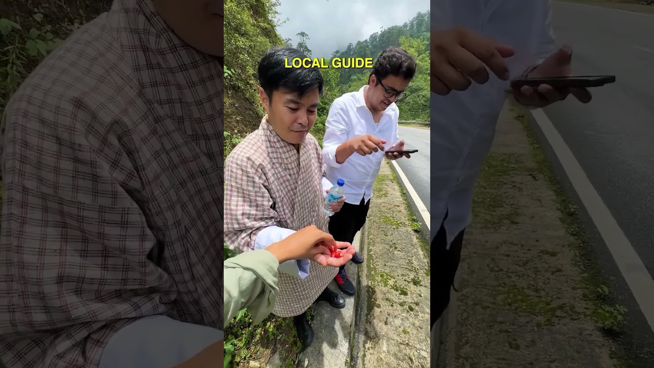 7 Days Bhutan Trip Under Budget?😱🤑 #travel #budget #bhutan #ytshorts #placetovisit