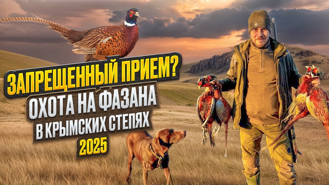 ЗАПРЕЩЕННЫЙ ПРИЕМ?Охота на ФАЗАНА в Крымских степях 2025.