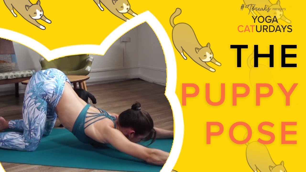 How to Do the Puppy Pose | Yoga Caturdays | DIVA Original