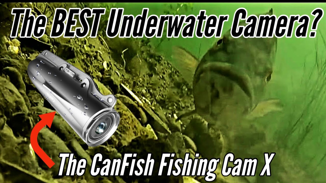 В действии: CanFish Fishing Cam X — лучшая подводная камера для рыбалки?