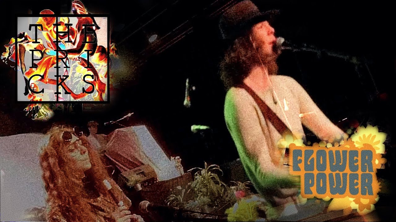 The Pricks - Curly (The Move cover)live at the Flower Power concert