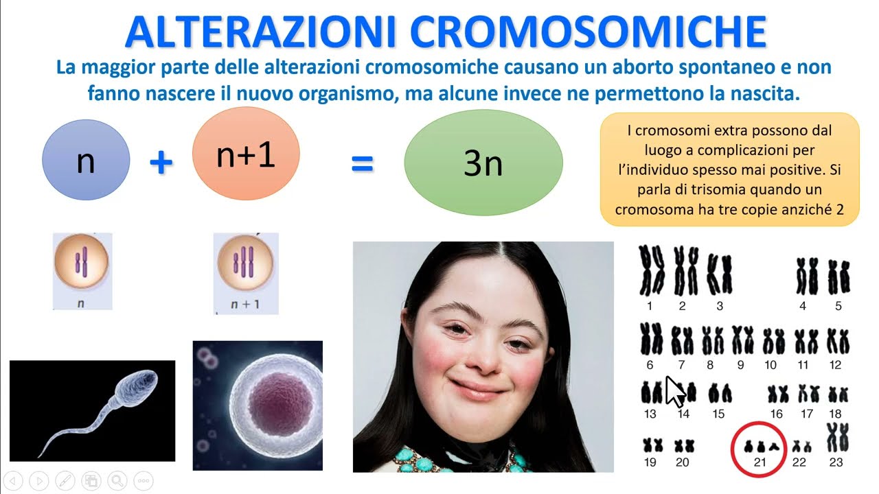 ALTERAZIONI CROMOSOMICHE