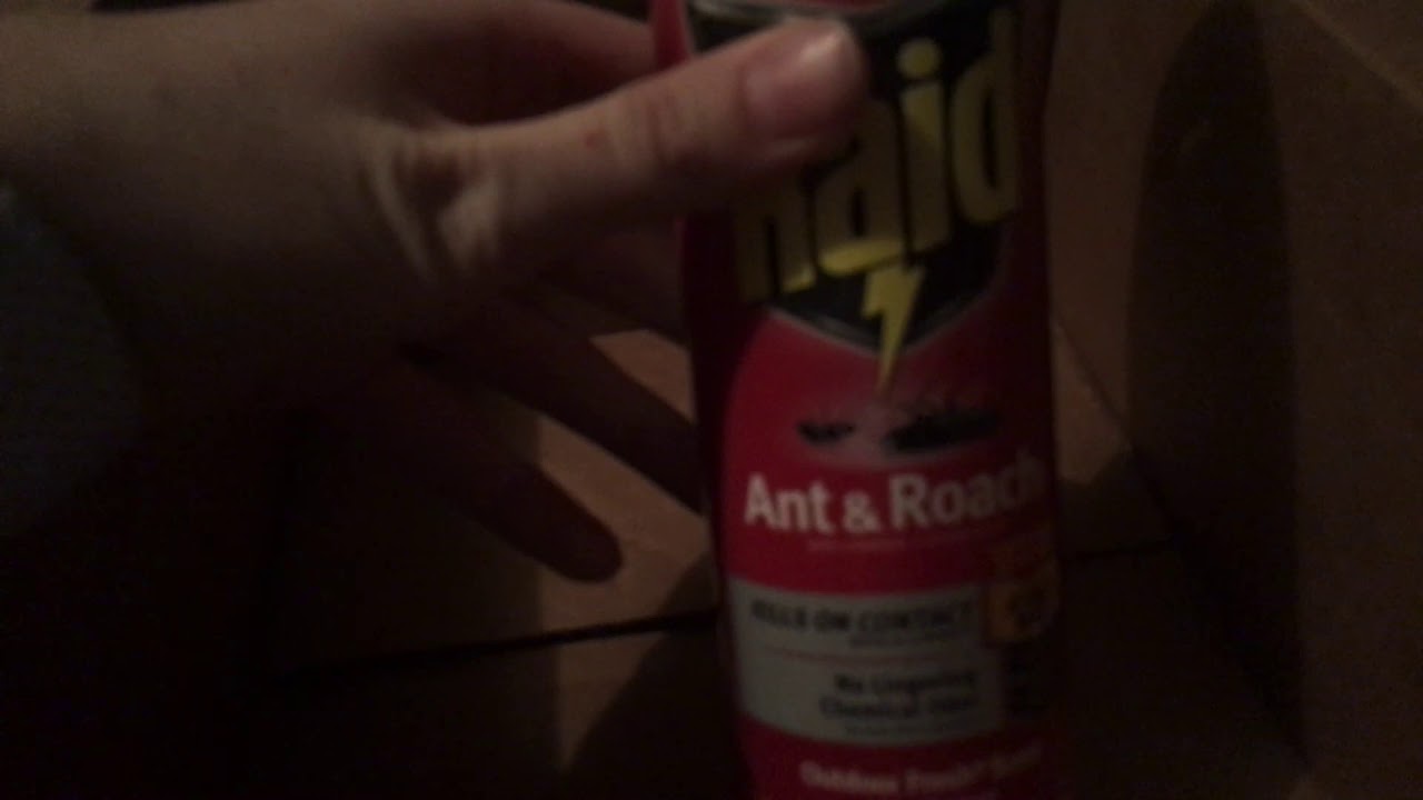 Super Roach Box!
