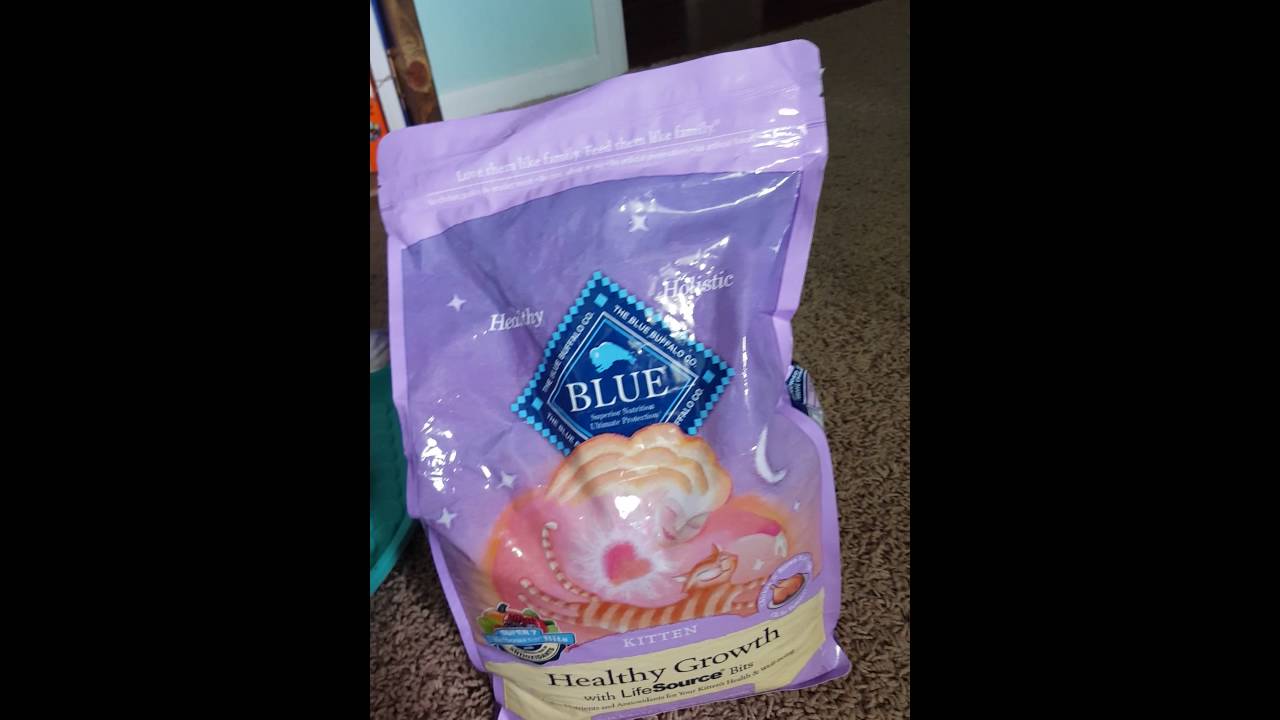 Kitten Haul | Kitten Essentials | Target, Amazon, & Dollar Tree
