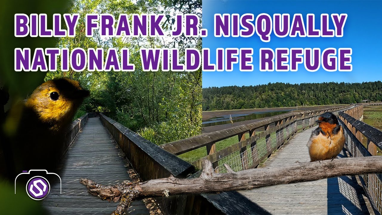 Scott Hill Photography | Billy Frank Jr. Nisqually National Wildlife Refuge