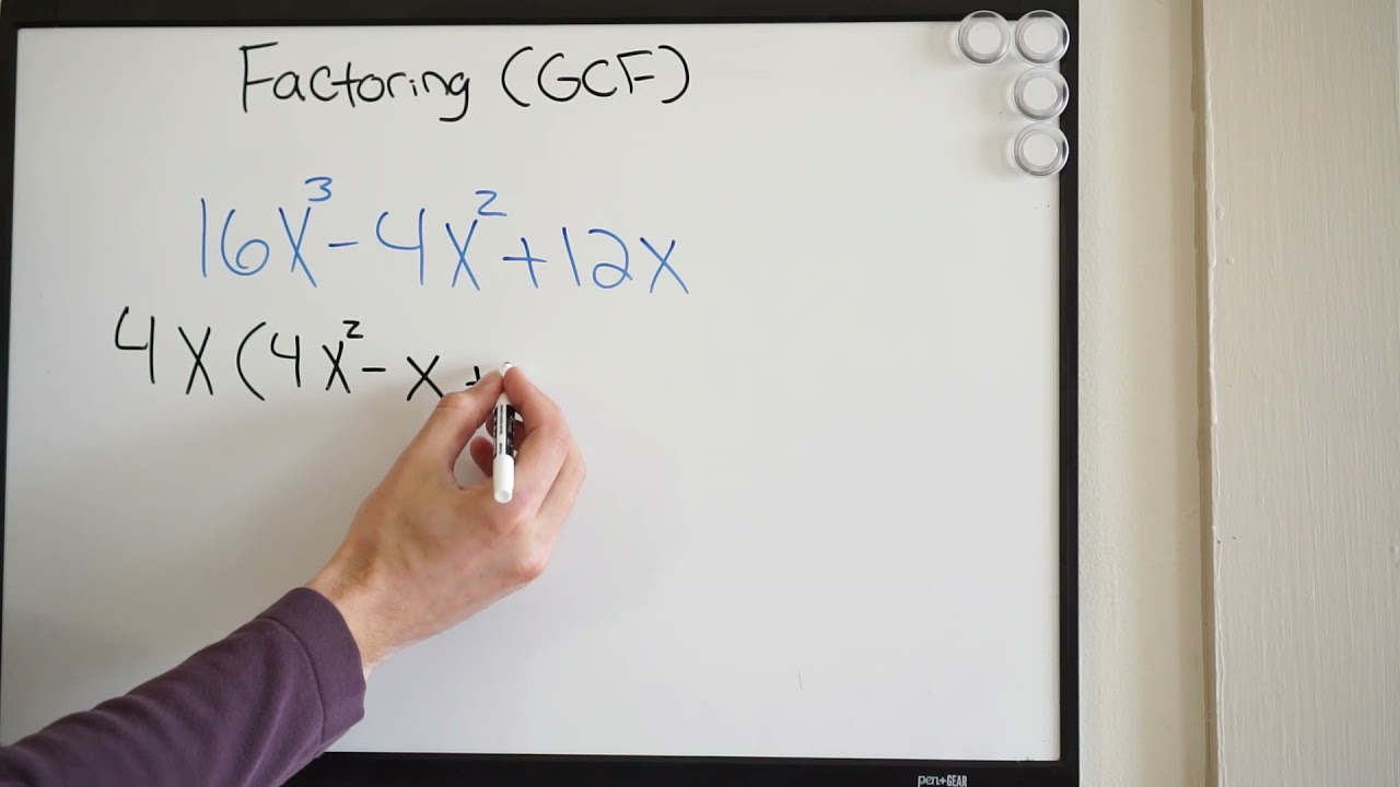 Factor Out the Greatest Common Factor (GCF) from the Polynomial