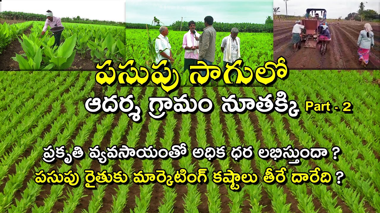పసుపు సాగులో ఆదర్శగ్రామం నూతక్కి పార్ట్ -2|| Farmers want Govt to procure Turmeric || Karshaka Mitra