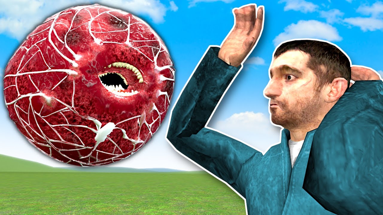THE MEATBALL IS AFTER ME! - Garry's Mod Gameplay