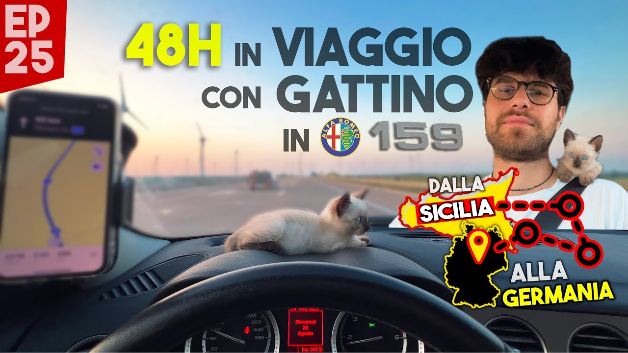 SI PUO' FARE? DALLA SICILIA ALLA GERMANIA CON UN GATTINO IN ALFA ROMEO 159