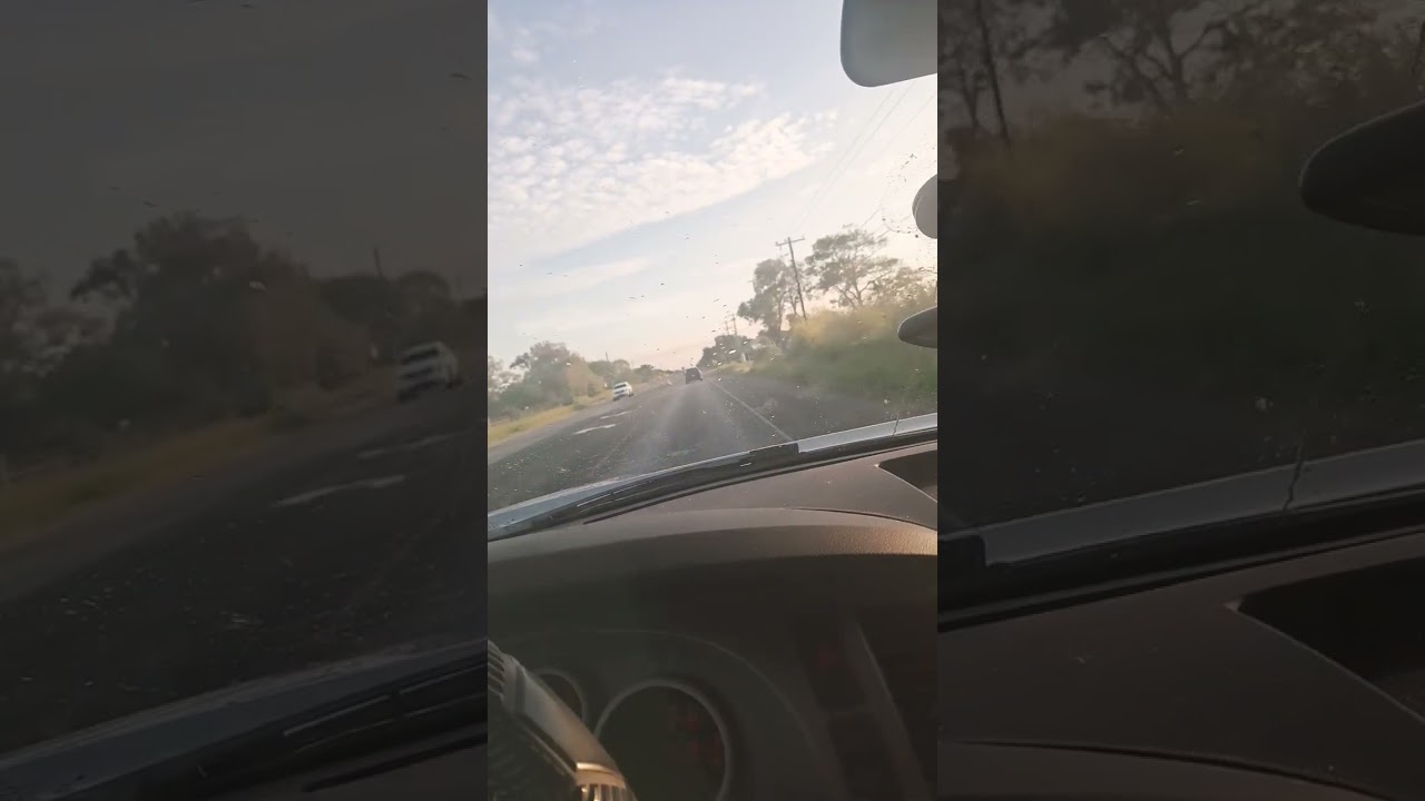 daily commute to work down here in south texas #texas #working #driving