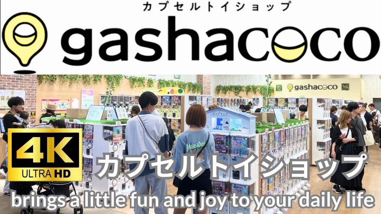【4K】gashacoco カプセルトイショップ ミニ玩具 食玩