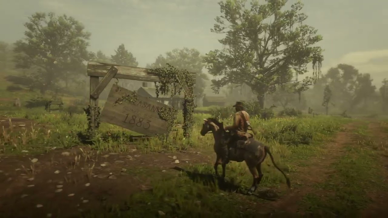 Red Dead Redemption II: PS5 Playthrough #24