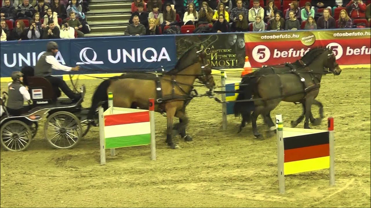 UNIQA Lovas Világkupa 2014 - CAI-W Négyesfogathajtóverseny - második futam