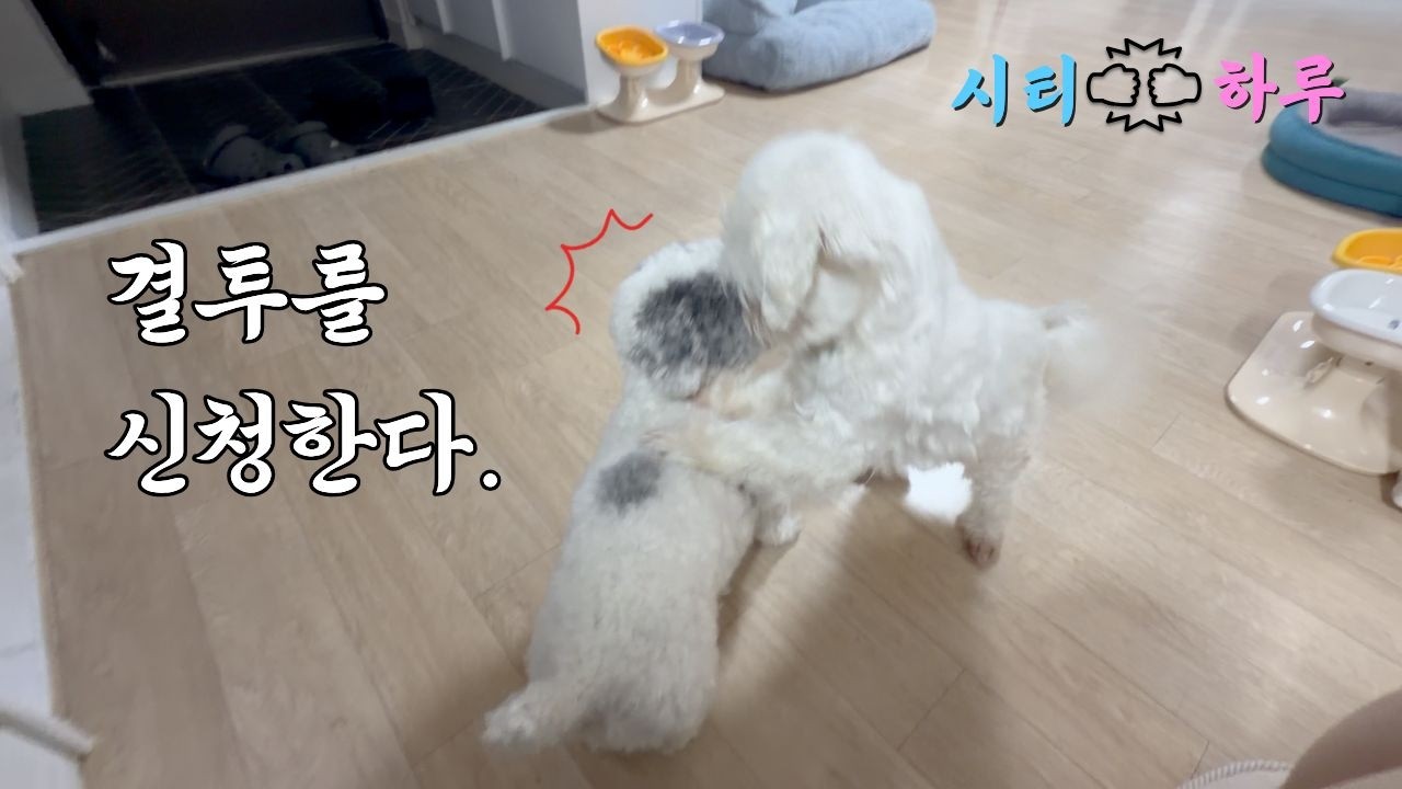 하루 남자친구 생기다