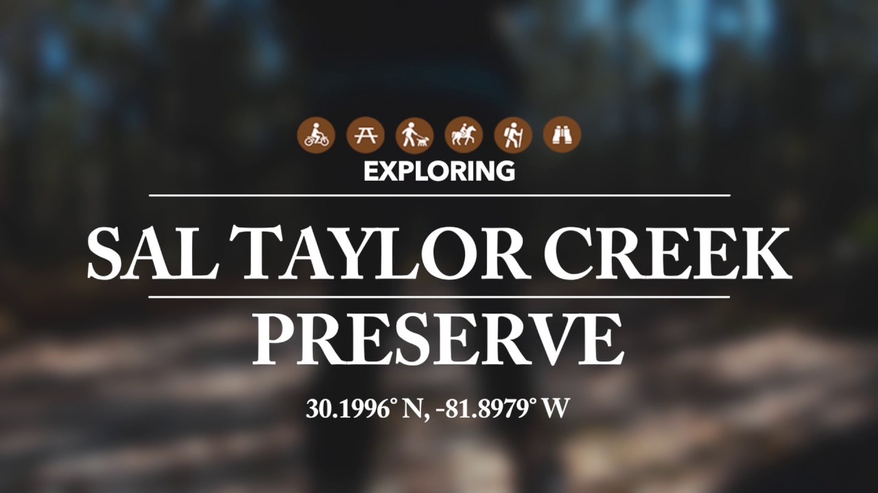 Exploring Northeast Florida's Sal Taylor Creek Preserve