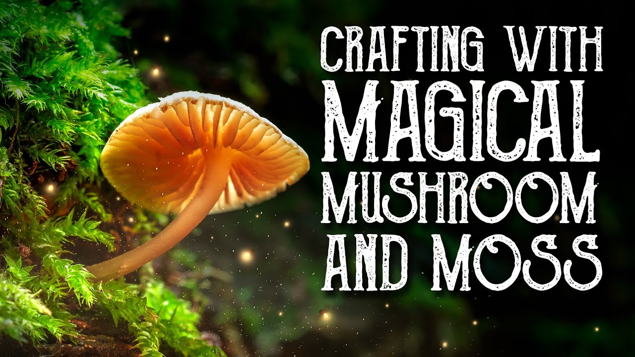 Mushrooms and Moss, Crafting Magical DIY Witchy Decor, Wild Forest Witch collab,  Magical Crafting