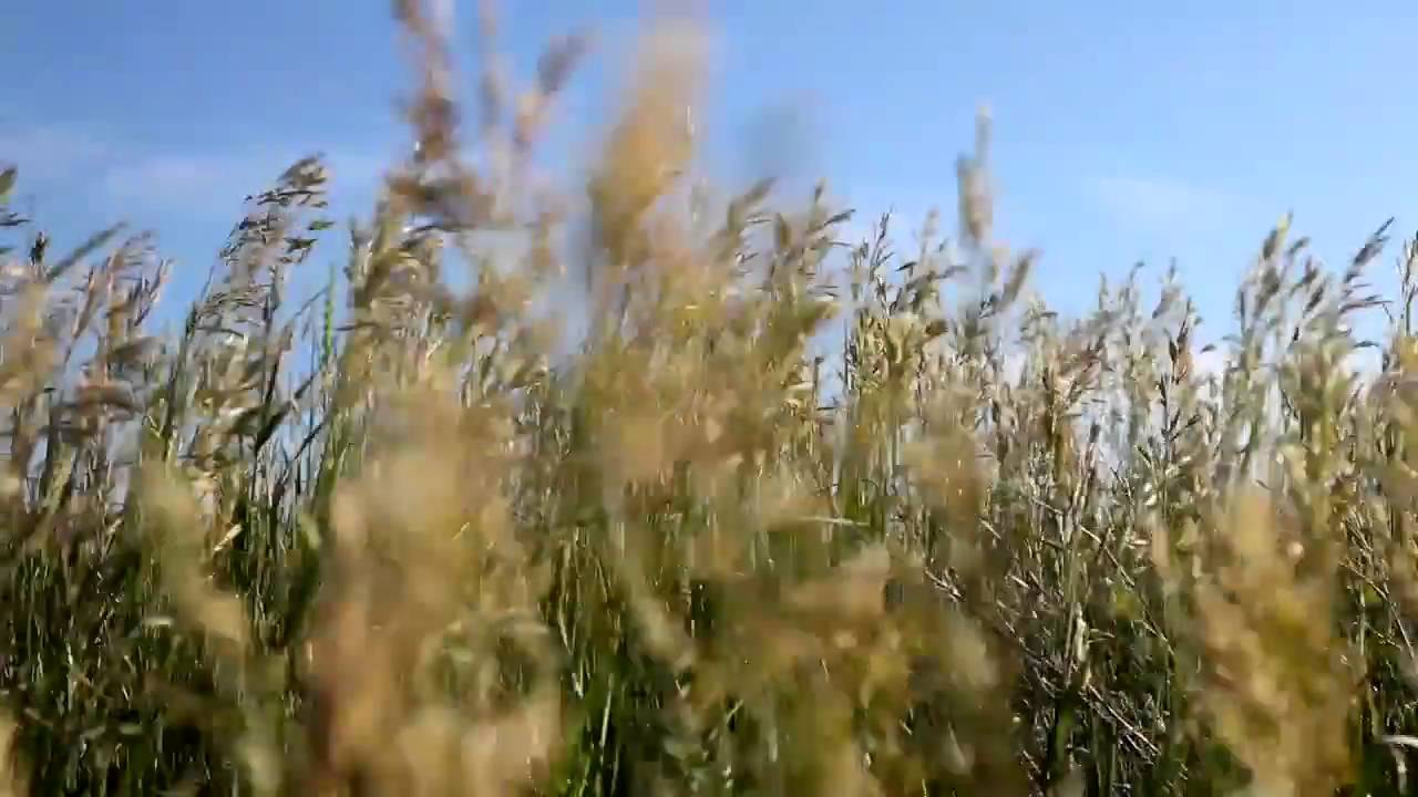 Whitecap Dakota First Nations: A Success Story - Saskatchewan, Canada