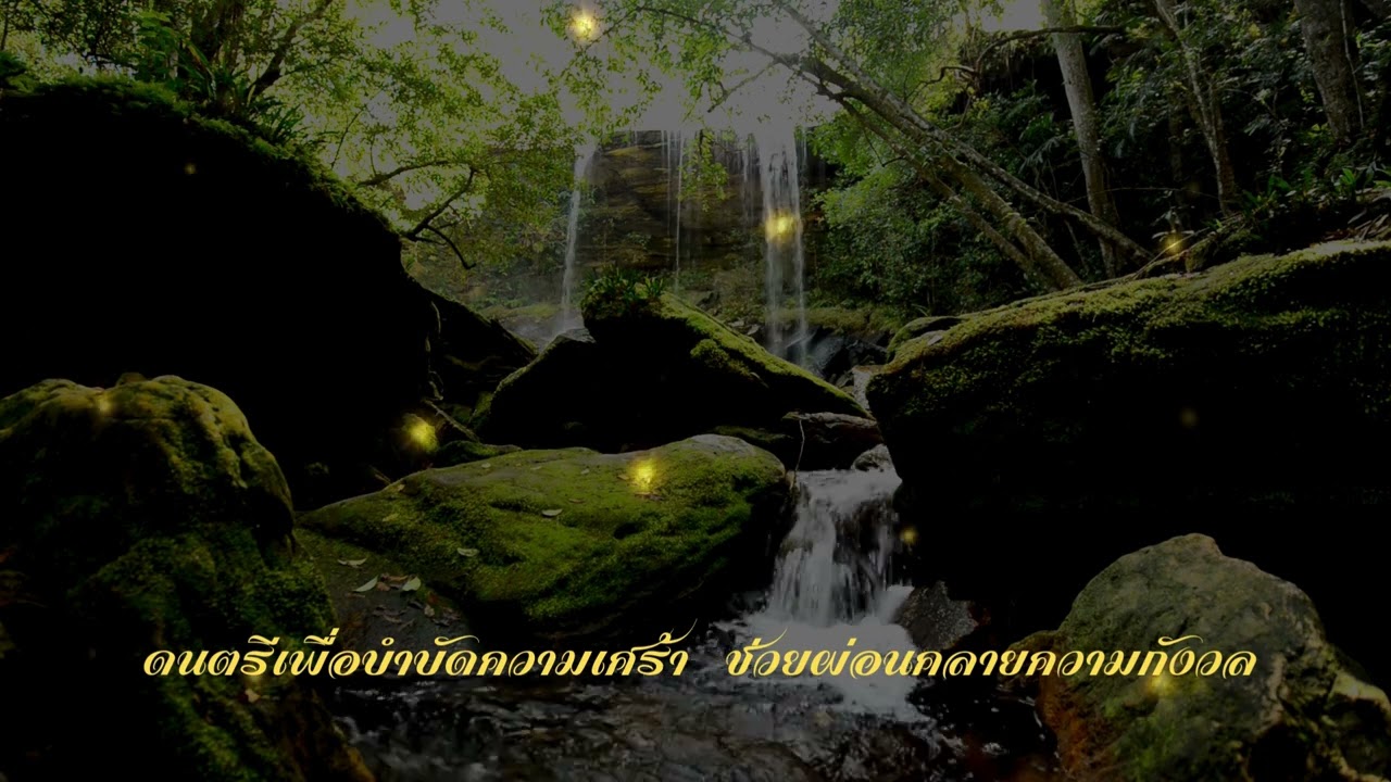 ดนตรีบำบัด นำมาใช้ในทางการแพทย์ช่วยฟื้นฟูร่างกายและจิตใจ ช่วยพัฒนาความสัมพันธ์ที่ดีกับผู้อื่นได้ด้วย