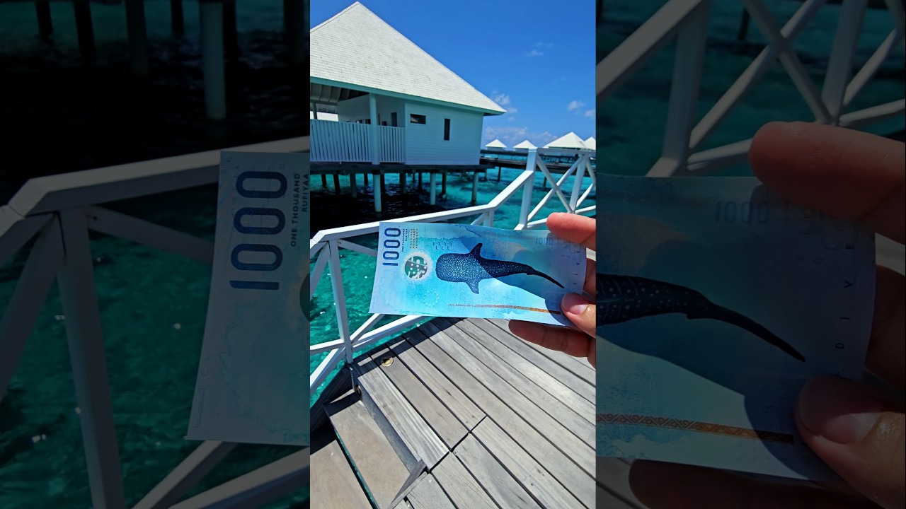 1000 руфи (MVR) &mdash; прекрасная валюта Мальдивских островов.