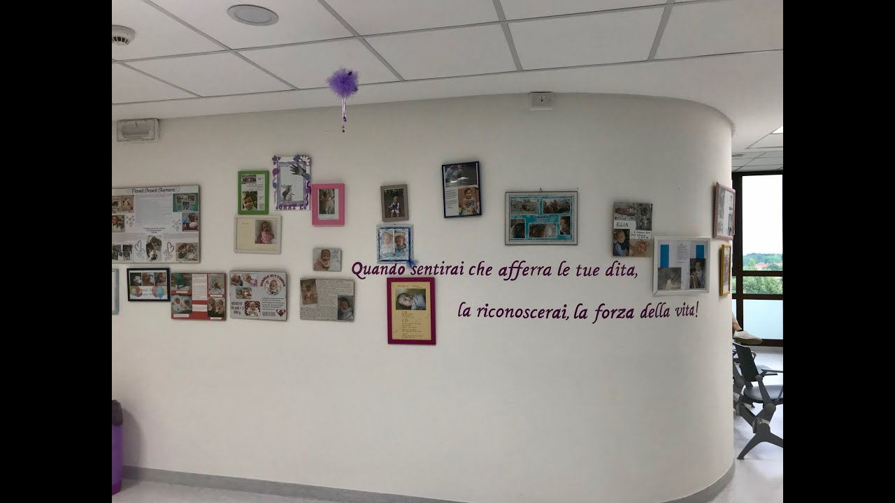 Il Nido e la Patologia Neonatale dell'Ospedale di Camposampiero dell' Ulss 6 Euganea si presentano.
