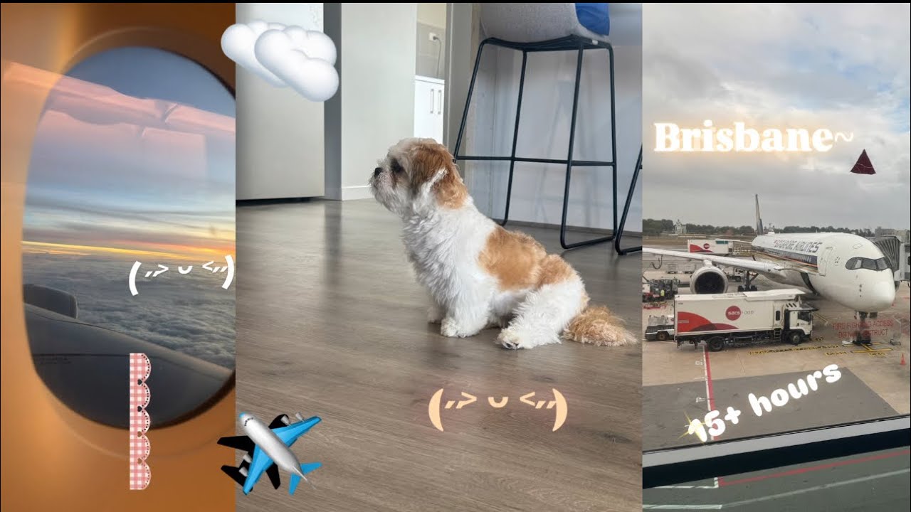 International Student Diaries | Daily life vlogs, food, travel, lifestyle transitioning! 🌟