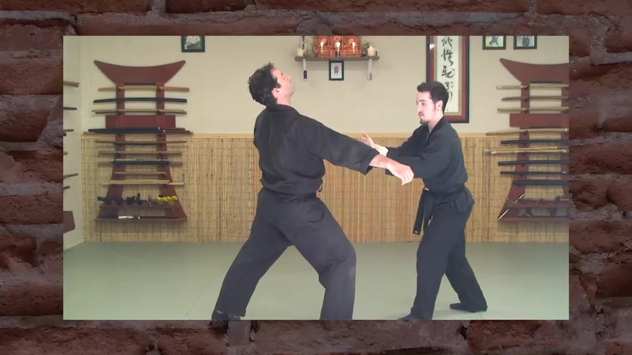 SAN SHIN NO KATA: Beyond Basic Forms (Bujinkan/Ninjutsu)