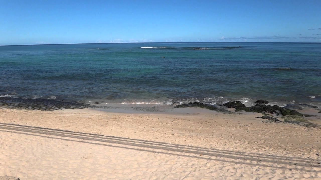 Laniakea Beach - Oahu, Hawaii