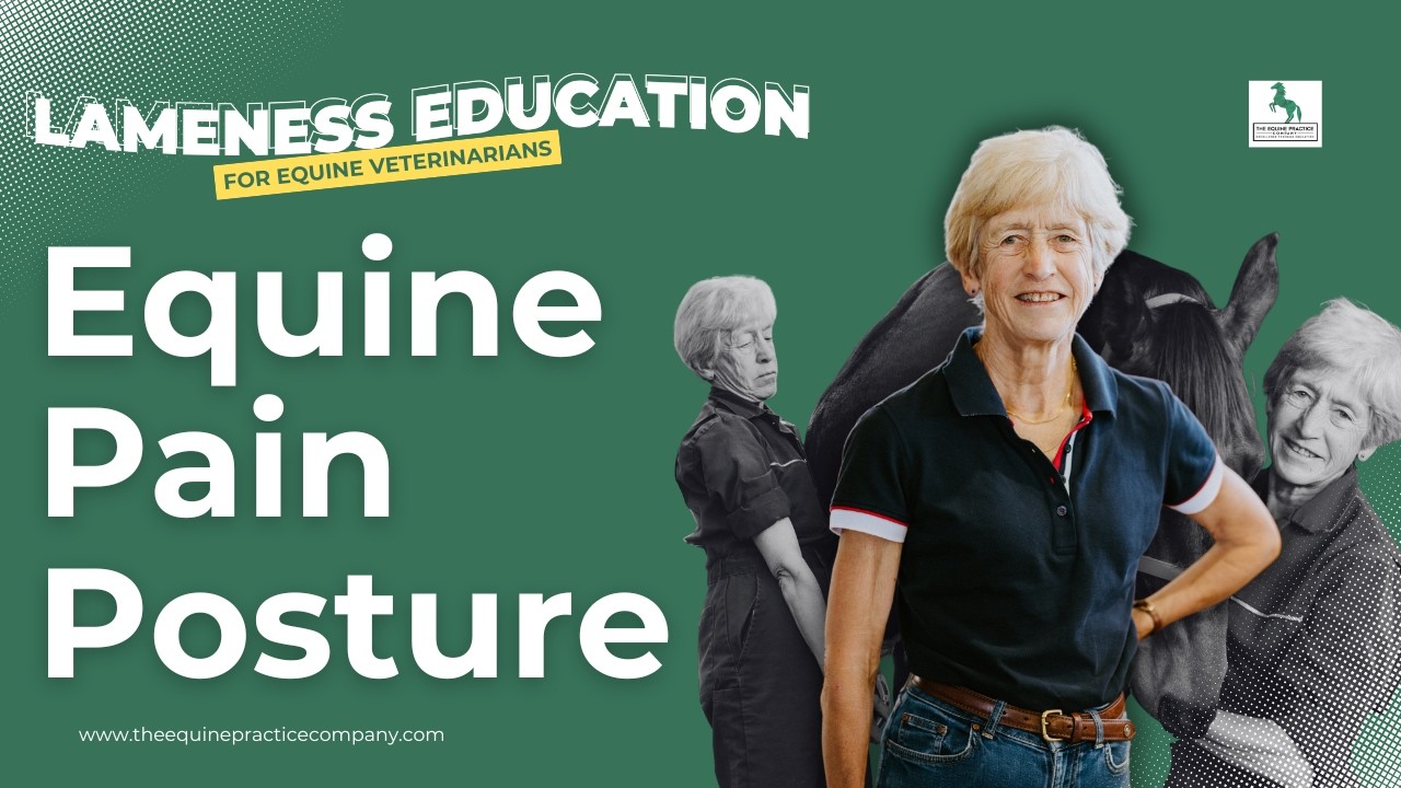 Equine Pain Posture: Spotting Biomechanical Dysfunction in Horses