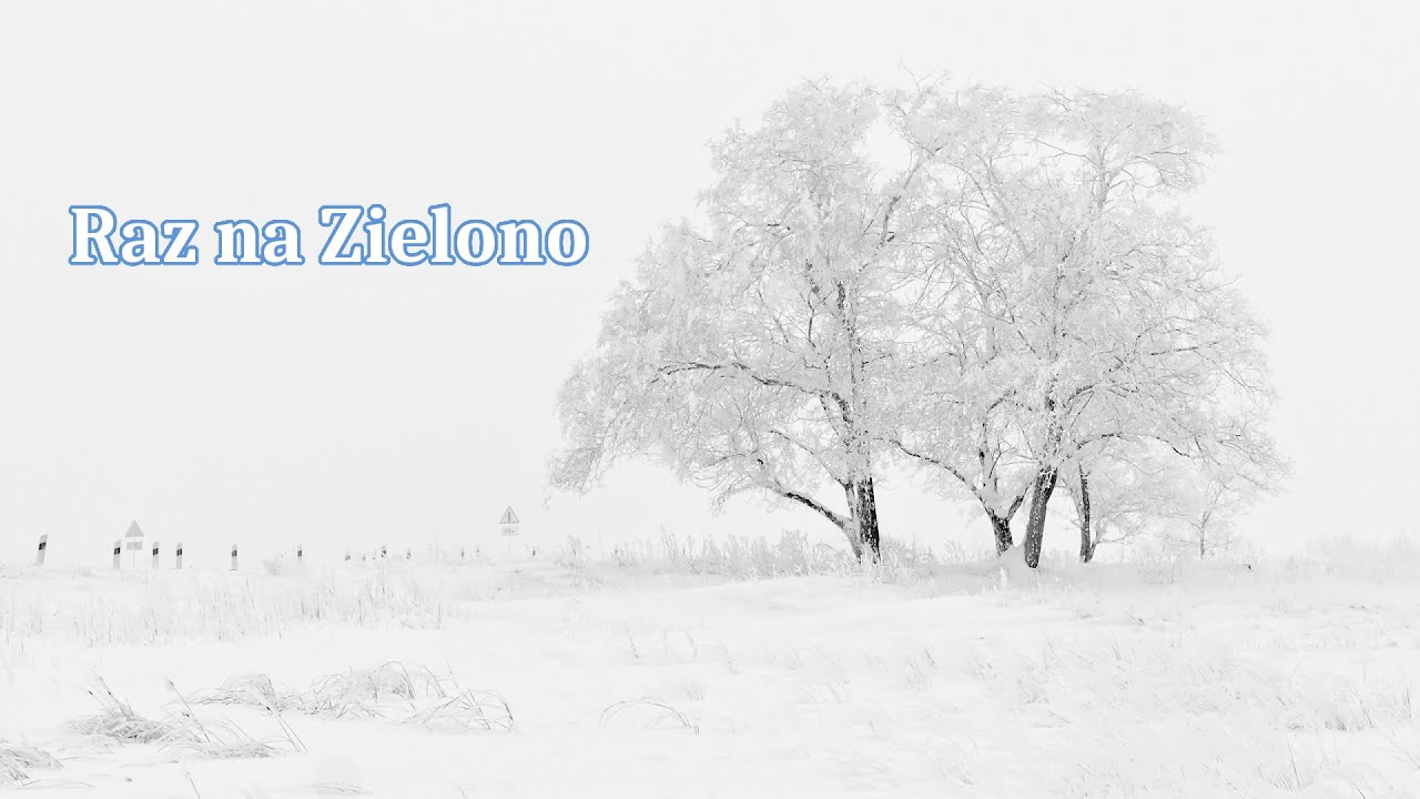 Raz na zielono 24 stycznia 2026